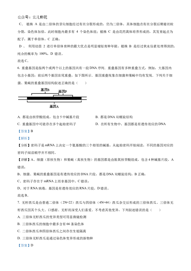 重庆市铜梁一中2024-2025学年高二上学期10月月考生物试题Word版含解析_2024-2025高二（7-7月题库）_2024年11月试卷_1104重庆市铜梁一中2024-2025学年高二上学期10月月考