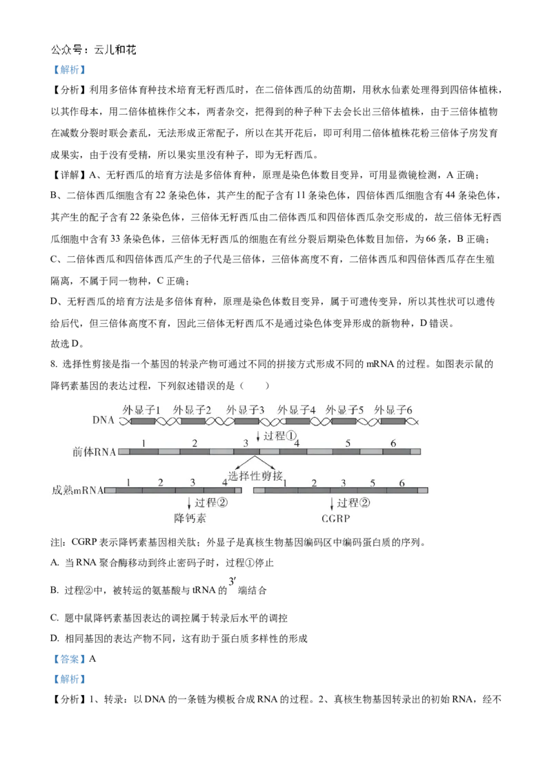 重庆市铜梁一中2024-2025学年高二上学期10月月考生物试题Word版含解析_2024-2025高二（7-7月题库）_2024年11月试卷_1104重庆市铜梁一中2024-2025学年高二上学期10月月考
