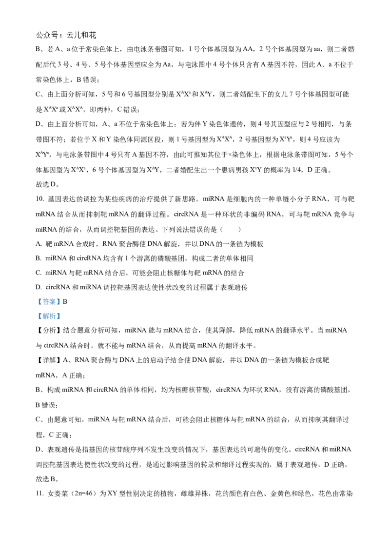 重庆市铜梁一中2024-2025学年高二上学期10月月考生物试题Word版含解析_2024-2025高二（7-7月题库）_2024年11月试卷_1104重庆市铜梁一中2024-2025学年高二上学期10月月考