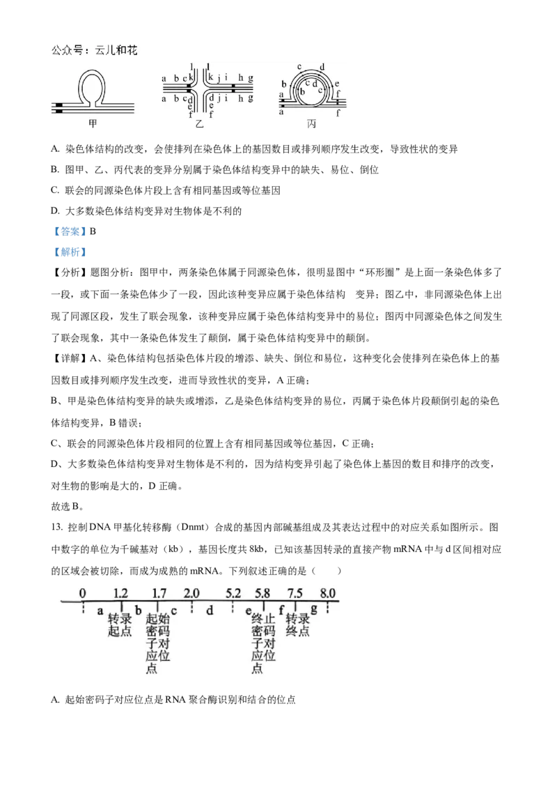 重庆市铜梁一中2024-2025学年高二上学期10月月考生物试题Word版含解析_2024-2025高二（7-7月题库）_2024年11月试卷_1104重庆市铜梁一中2024-2025学年高二上学期10月月考