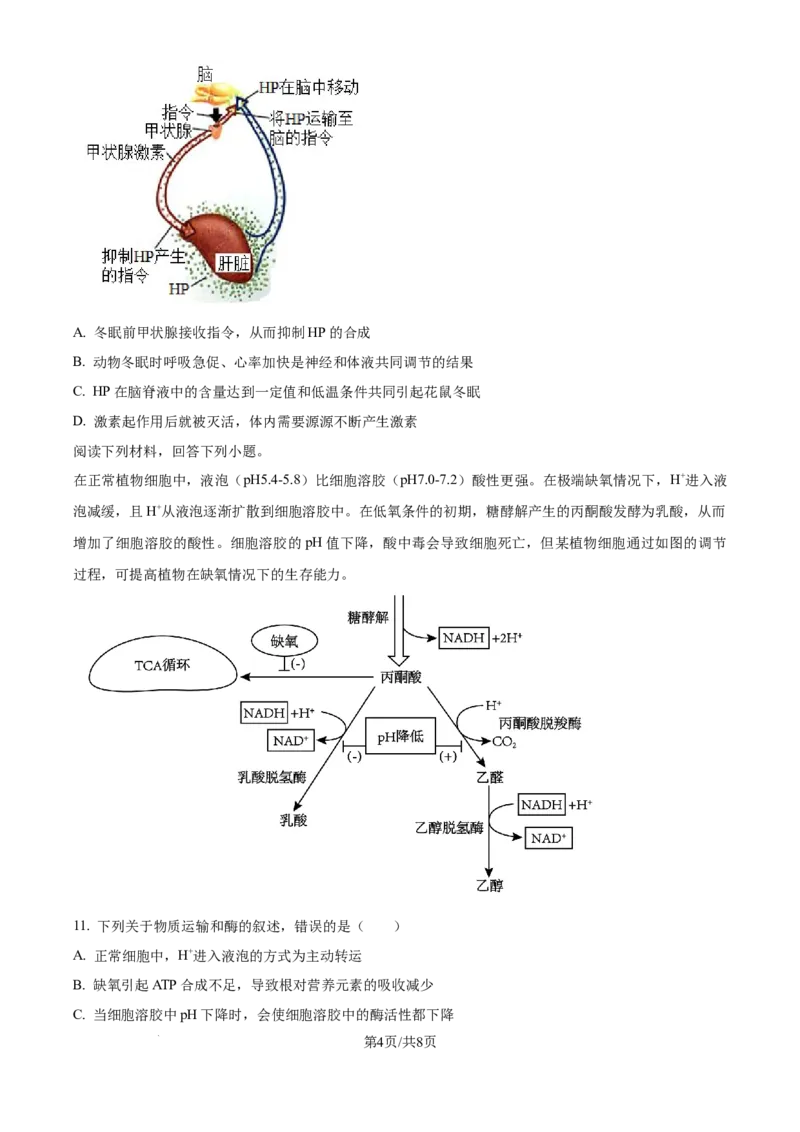 精品解析：天津市滨海新区塘沽第一中学2024-2025学年高三上学期第二次月考生物试题（原卷版）_2024-2025高三（6-6月题库）_2024年12月试卷
