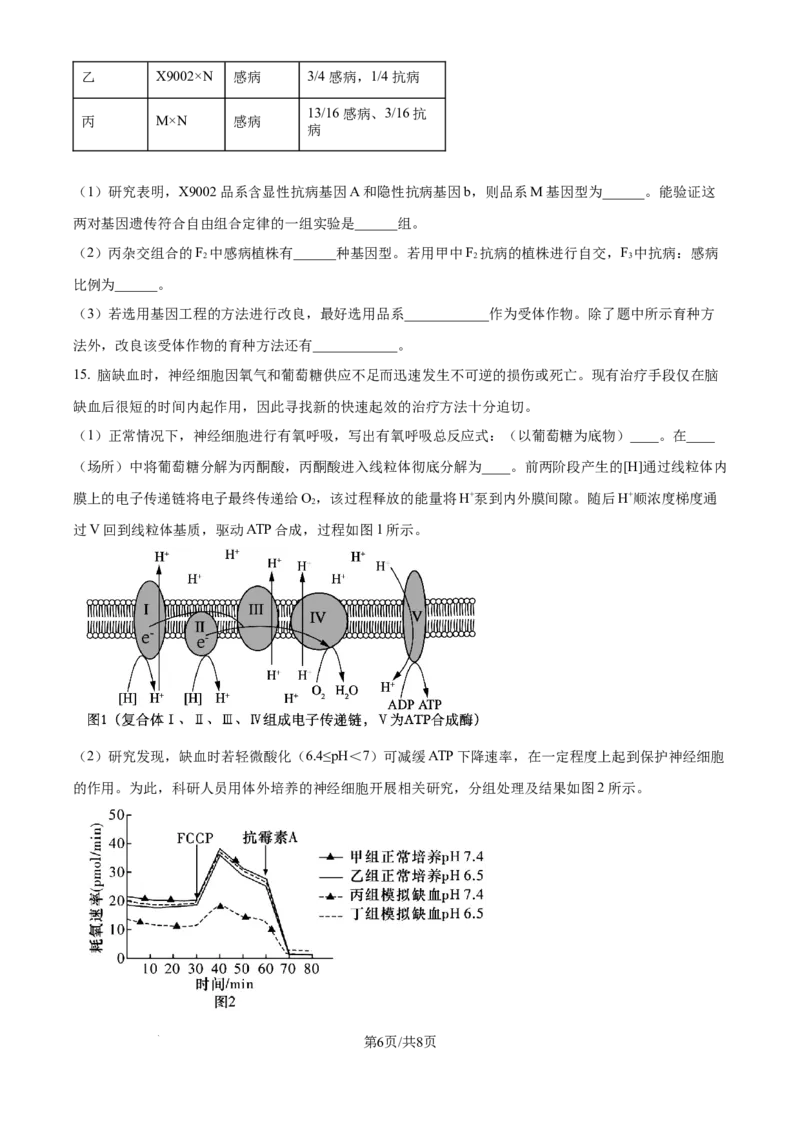 精品解析：天津市滨海新区塘沽第一中学2024-2025学年高三上学期第二次月考生物试题（原卷版）_2024-2025高三（6-6月题库）_2024年12月试卷