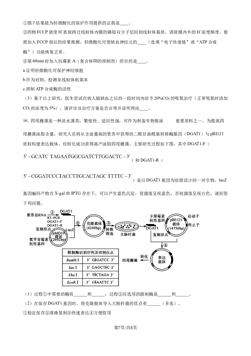 精品解析：天津市滨海新区塘沽第一中学2024-2025学年高三上学期第二次月考生物试题（原卷版）_2024-2025高三（6-6月题库）_2024年12月试卷