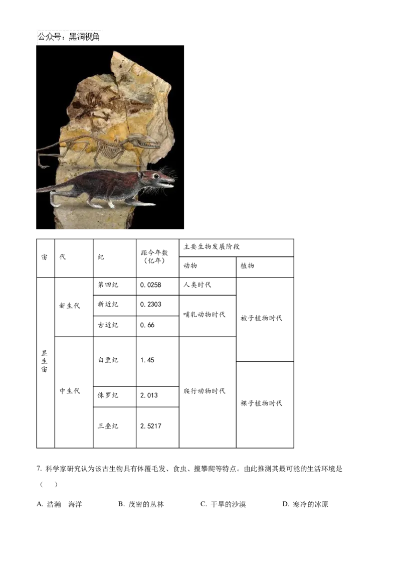 辽宁省沈阳市沈文新高考研究联盟2024-2025学年高三上学期10月联考地理试题Word版无答案_2024-2025高三（6-6月题库）_2024年10月试卷