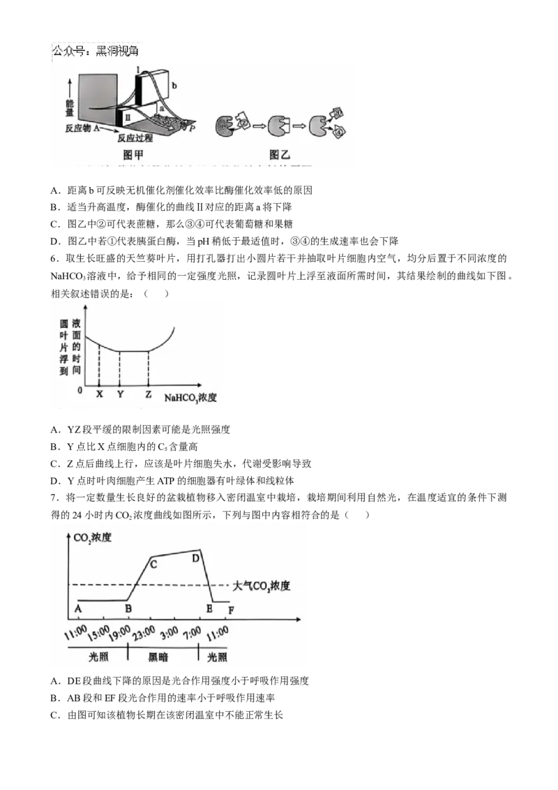 辽宁省重点高中沈阳市郊联体2024-2025学年高三上学期10月月考试题生物Word版含答案_2024-2025高三（6-6月题库）_2024年10月试卷