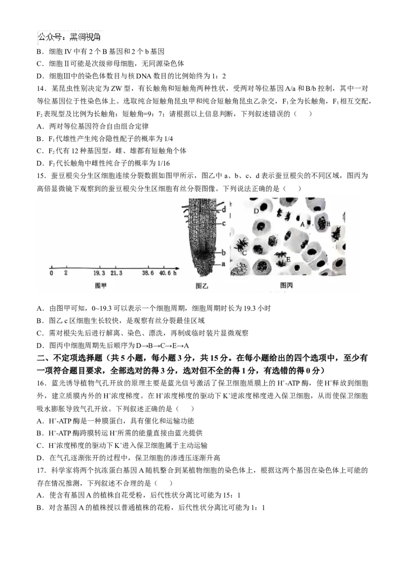 辽宁省重点高中沈阳市郊联体2024-2025学年高三上学期10月月考试题生物Word版含答案_2024-2025高三（6-6月题库）_2024年10月试卷