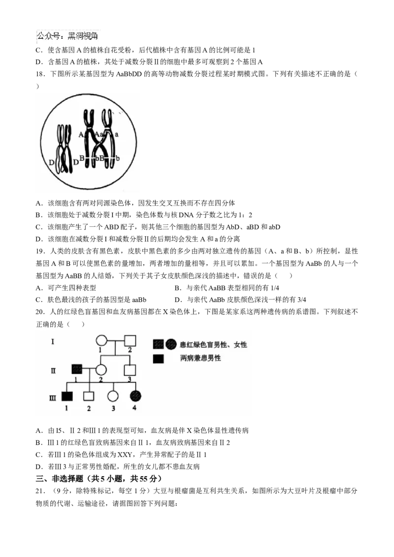 辽宁省重点高中沈阳市郊联体2024-2025学年高三上学期10月月考试题生物Word版含答案_2024-2025高三（6-6月题库）_2024年10月试卷