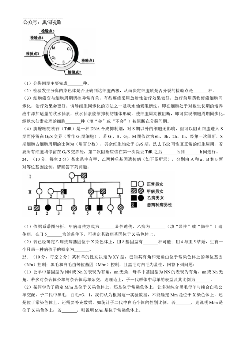 辽宁省重点高中沈阳市郊联体2024-2025学年高三上学期10月月考试题生物Word版含答案_2024-2025高三（6-6月题库）_2024年10月试卷