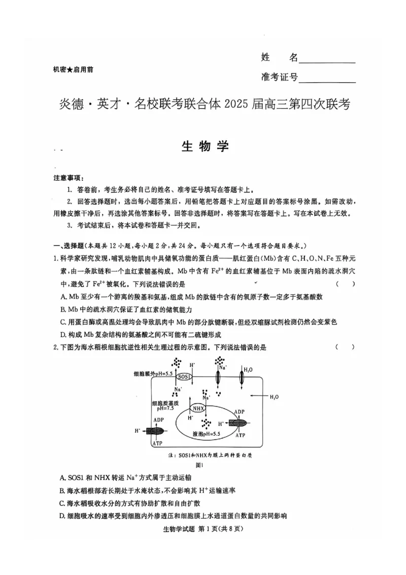 生物试卷_2024-2025高三（6-6月题库）_2024年12月试卷_1201湖南省炎德英才名校联考联合体2024-2025学年高三上学期第四次联考（全科）