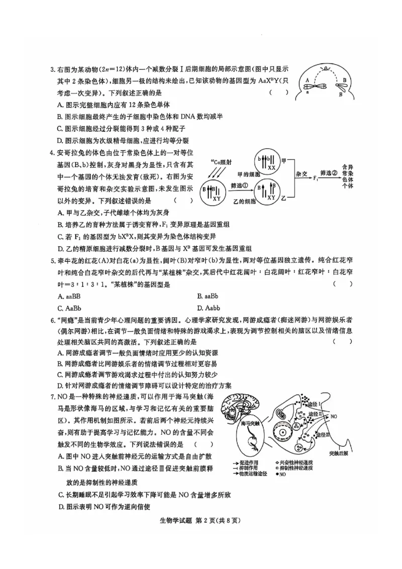 生物试卷_2024-2025高三（6-6月题库）_2024年12月试卷_1201湖南省炎德英才名校联考联合体2024-2025学年高三上学期第四次联考（全科）