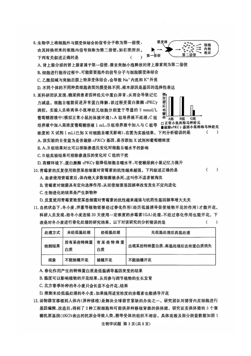 生物试卷_2024-2025高三（6-6月题库）_2024年12月试卷_1201湖南省炎德英才名校联考联合体2024-2025学年高三上学期第四次联考（全科）