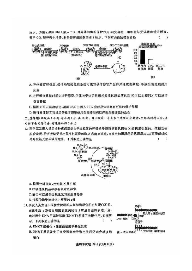 生物试卷_2024-2025高三（6-6月题库）_2024年12月试卷_1201湖南省炎德英才名校联考联合体2024-2025学年高三上学期第四次联考（全科）