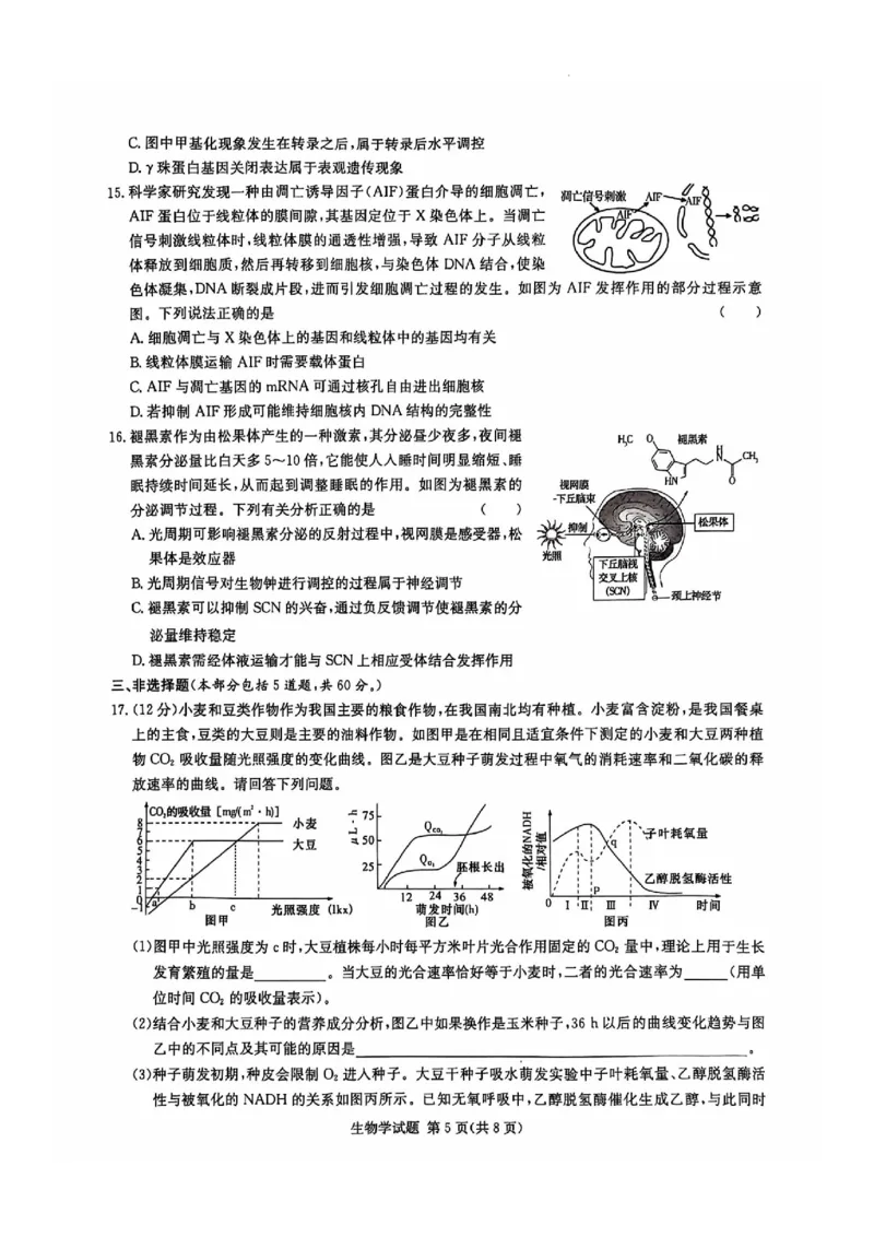 生物试卷_2024-2025高三（6-6月题库）_2024年12月试卷_1201湖南省炎德英才名校联考联合体2024-2025学年高三上学期第四次联考（全科）