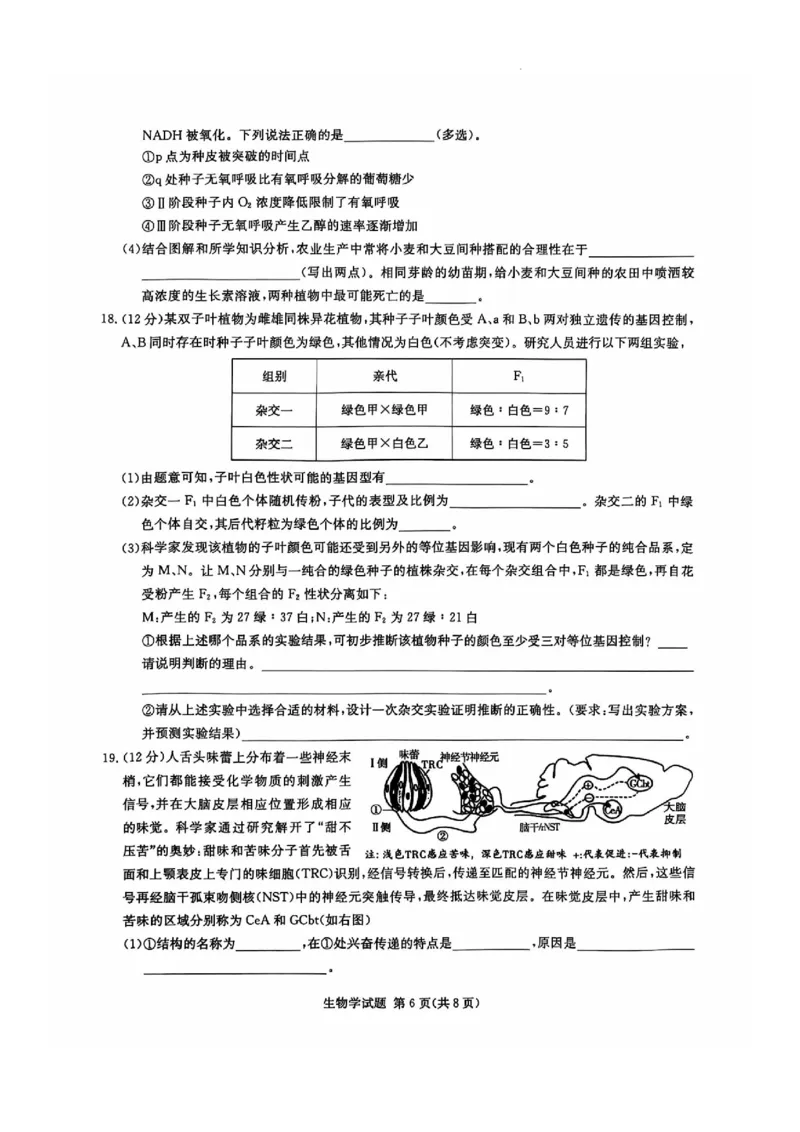 生物试卷_2024-2025高三（6-6月题库）_2024年12月试卷_1201湖南省炎德英才名校联考联合体2024-2025学年高三上学期第四次联考（全科）