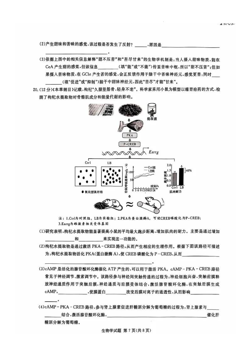 生物试卷_2024-2025高三（6-6月题库）_2024年12月试卷_1201湖南省炎德英才名校联考联合体2024-2025学年高三上学期第四次联考（全科）