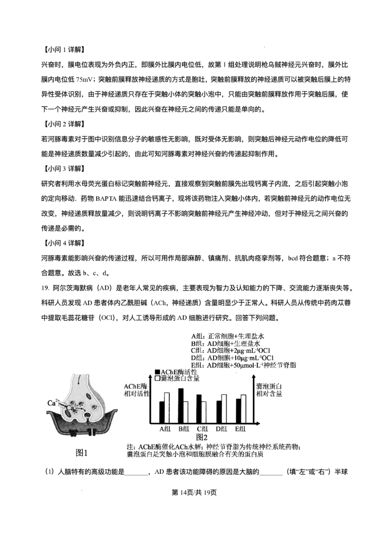 山西省朔州市怀仁市大地高中学校2025-2026学年高二上学期第一次月考生物试卷A（含答案）_2025年10月高二试卷_251012山西省朔州市怀仁市大地高中学校2025-2026学年高二上学期第一次月考