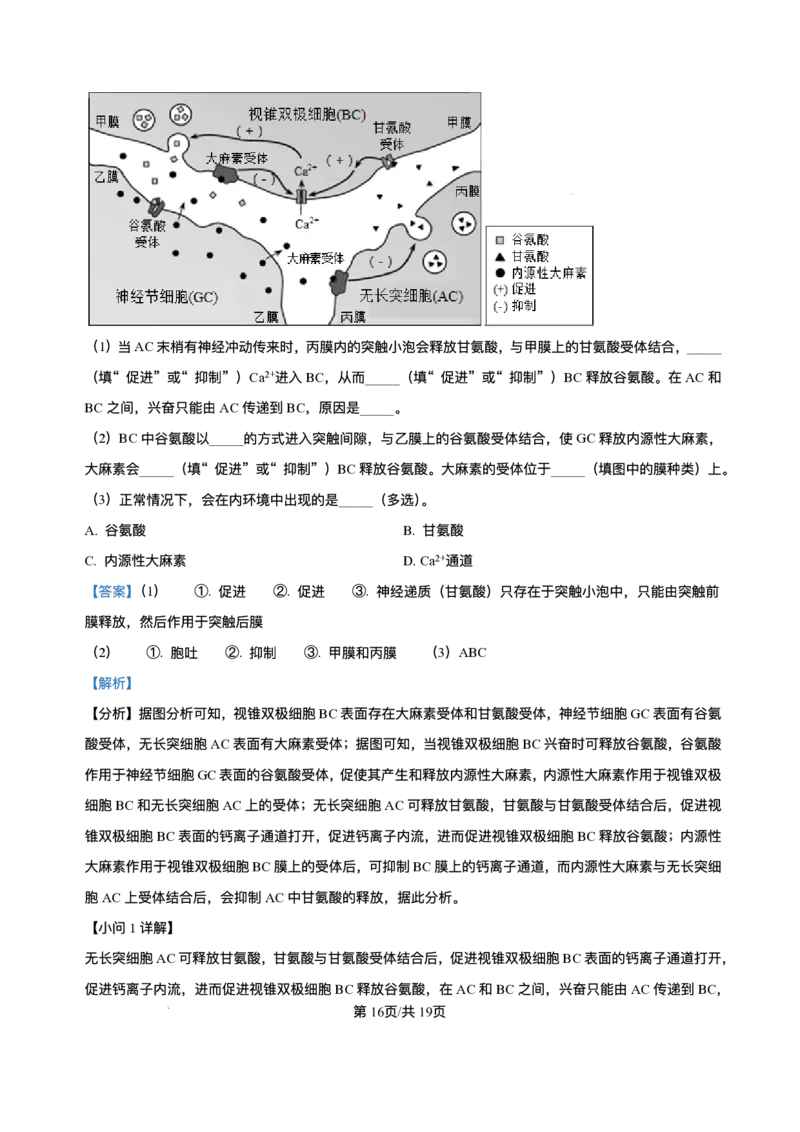 山西省朔州市怀仁市大地高中学校2025-2026学年高二上学期第一次月考生物试卷A（含答案）_2025年10月高二试卷_251012山西省朔州市怀仁市大地高中学校2025-2026学年高二上学期第一次月考