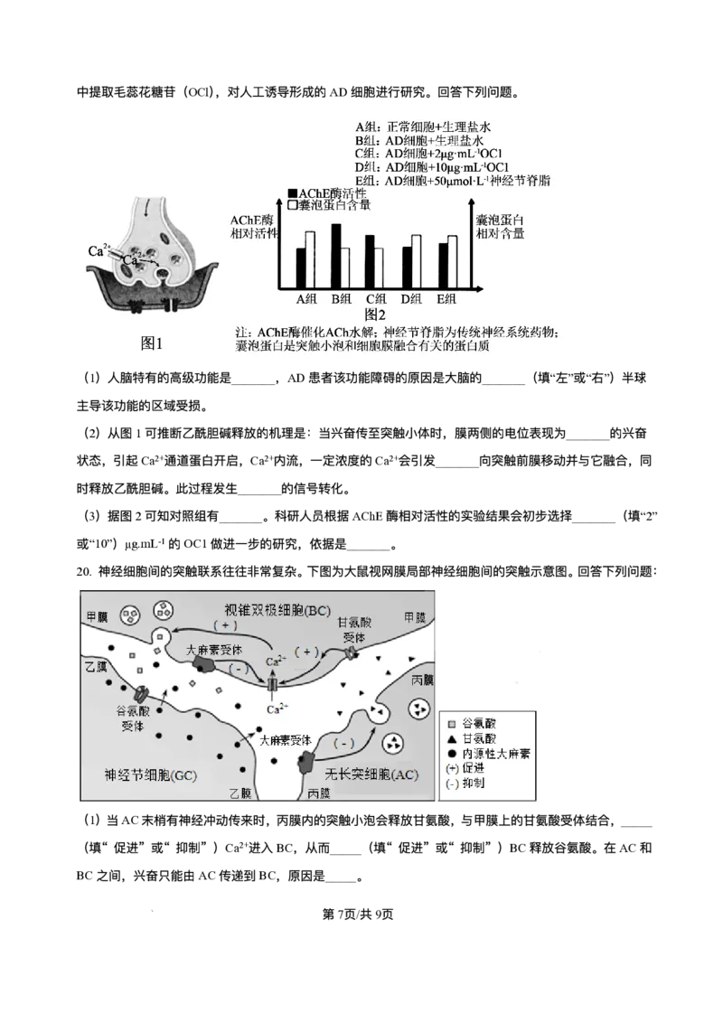 山西省朔州市怀仁市大地高中学校2025-2026学年高二上学期第一次月考生物试卷A（含答案）_2025年10月高二试卷_251012山西省朔州市怀仁市大地高中学校2025-2026学年高二上学期第一次月考