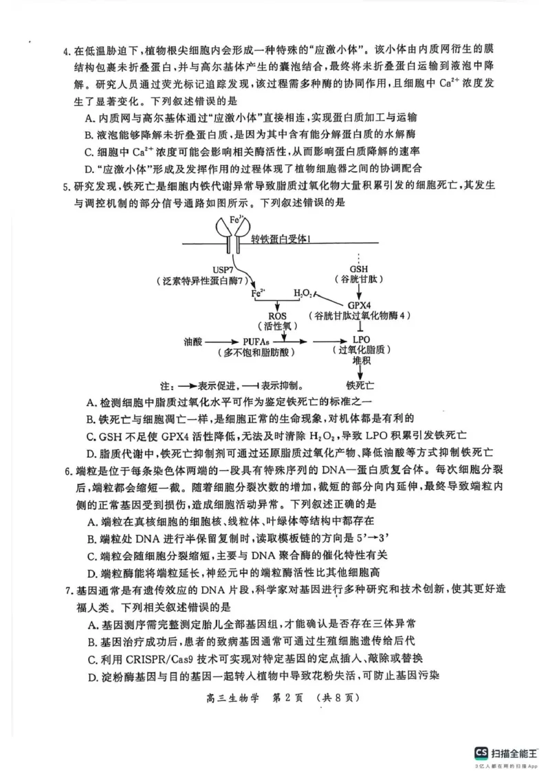 开封市2026届高三年级第一次质量检测生物_2024-2026高三（6-6月题库）_2026年01月高三试卷_0107河南省开封市2026届高三年级第一次质量检测（开封一模）（全）