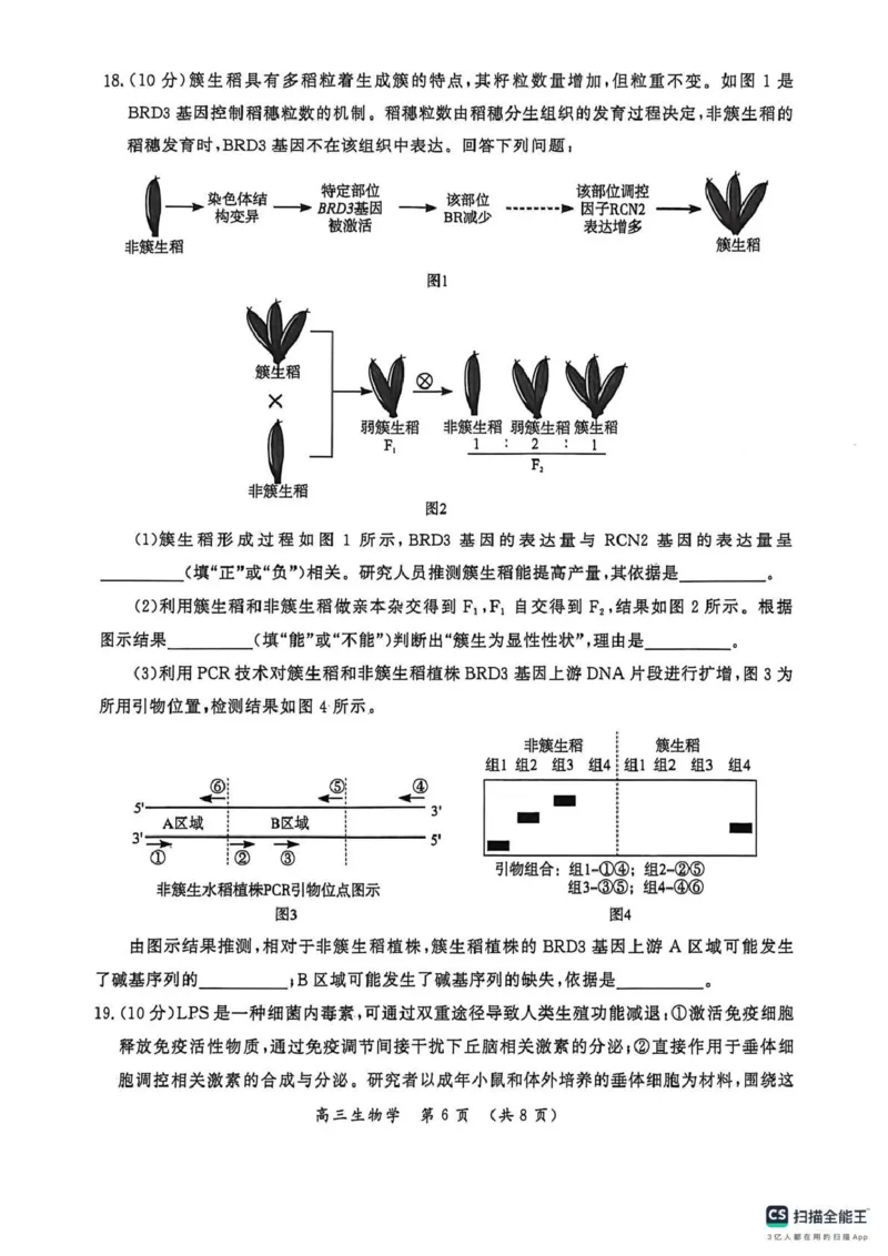 开封市2026届高三年级第一次质量检测生物_2024-2026高三（6-6月题库）_2026年01月高三试卷_0107河南省开封市2026届高三年级第一次质量检测（开封一模）（全）