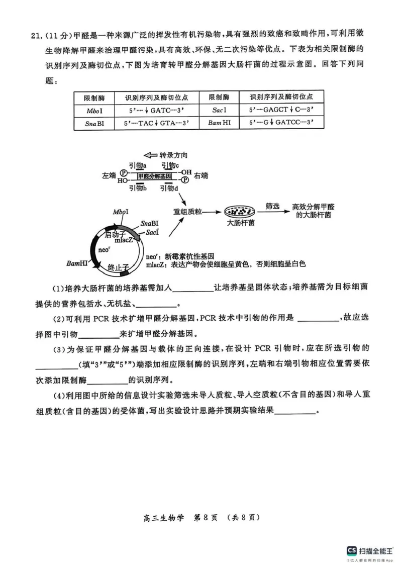 开封市2026届高三年级第一次质量检测生物_2024-2026高三（6-6月题库）_2026年01月高三试卷_0107河南省开封市2026届高三年级第一次质量检测（开封一模）（全）