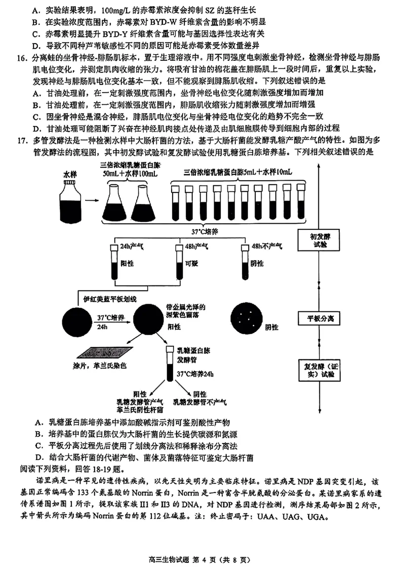 浙江省县域教研联盟2025届高三摸底考试生物+答案_2024-2025高三（6-6月题库）_2024年12月试卷_1208浙江省县域教研联盟2025届高三摸底考试