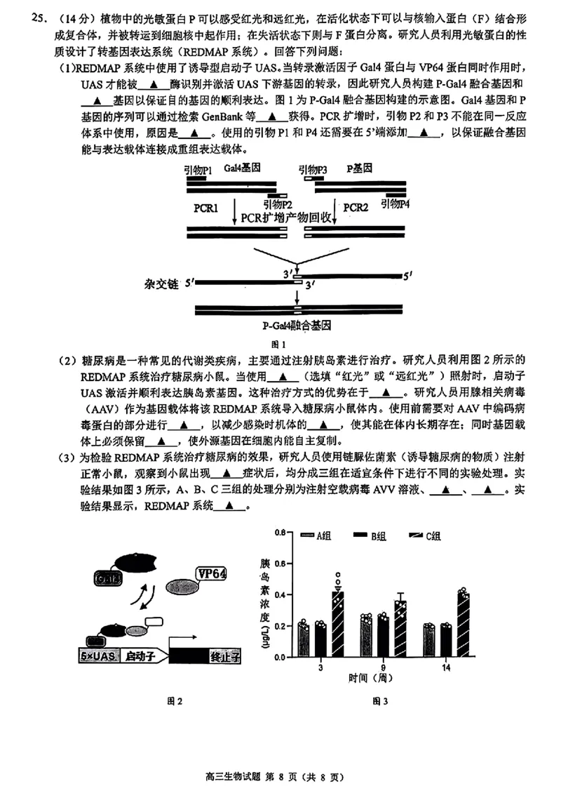 浙江省县域教研联盟2025届高三摸底考试生物+答案_2024-2025高三（6-6月题库）_2024年12月试卷_1208浙江省县域教研联盟2025届高三摸底考试