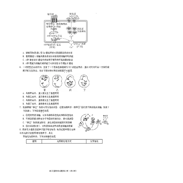 遂宁市高中2026届高三一诊考试生物_2024-2026高三（6-6月题库）_2026年01月高三试卷_0123四川省遂宁市高中2026届高三一诊考试（遂宁一诊）（全）