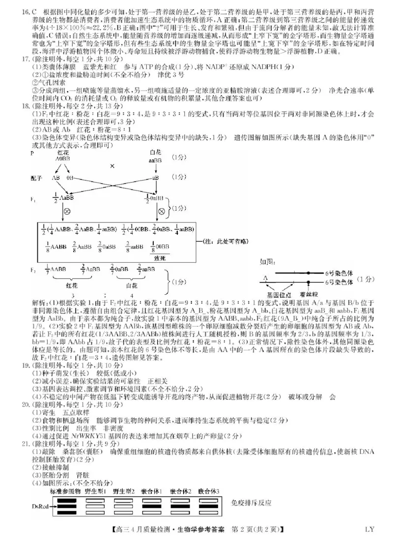 生物答案_2024-2025高三（6-6月题库）_2025年04月试卷_0429九师联盟2025届高三4月27质量监测（全科）_九师联盟2025届高三4月27质量监测生物试题（含答案）