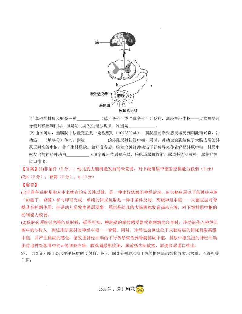 高二生物第一次月考卷（全解全析）（天津专用）_2024-2025高二（7-7月题库）_2024年09月试卷_0924黄金卷：2024-2025学年高二上学期第一次月考9科word解析版含答题卡（天津专用）