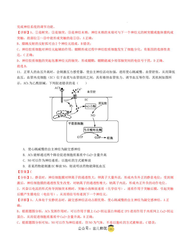 高二生物第一次月考卷（全解全析）（天津专用）_2024-2025高二（7-7月题库）_2024年09月试卷_0924黄金卷：2024-2025学年高二上学期第一次月考9科word解析版含答题卡（天津专用）