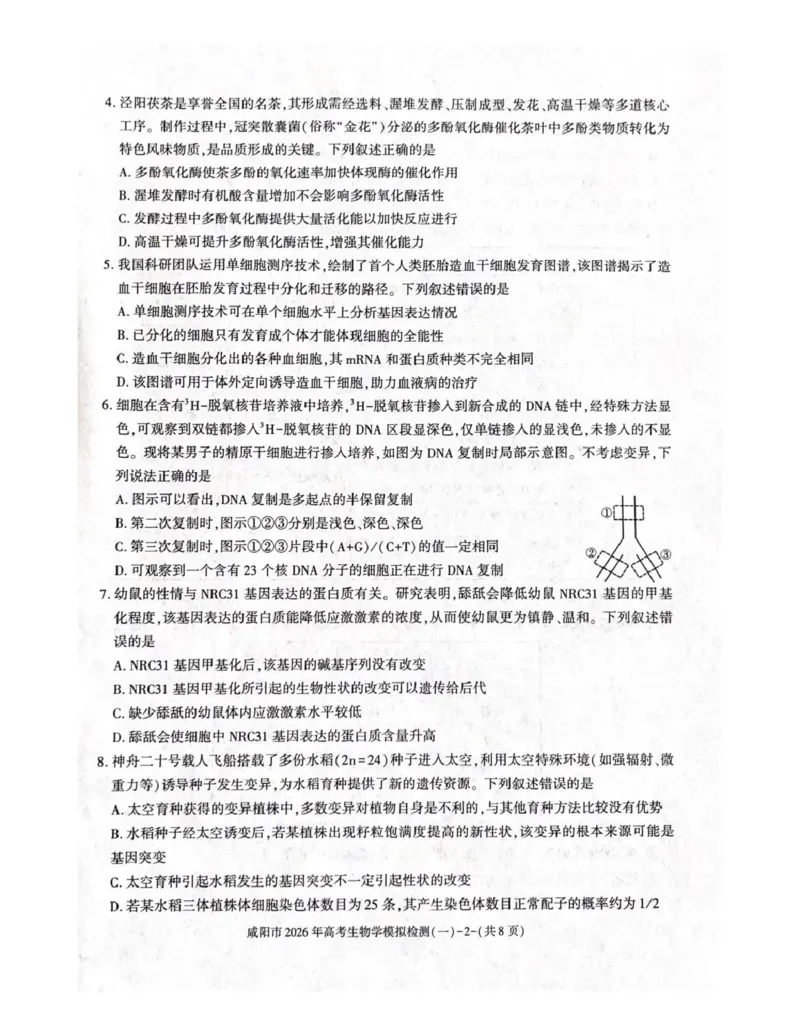 咸阳市2026年高考模拟检测（一）生物_2024-2026高三（6-6月题库）_2026年01月高三试卷_0110陕西省咸阳市2026年高考模拟检测（一）（全）