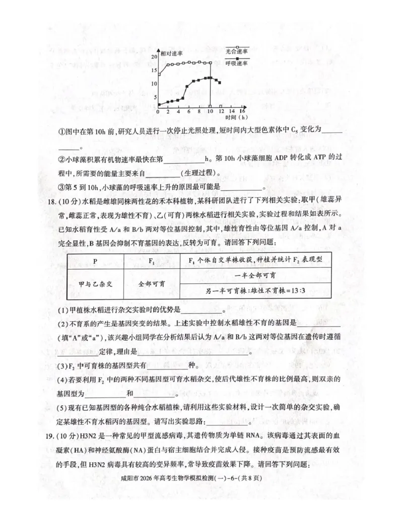 咸阳市2026年高考模拟检测（一）生物_2024-2026高三（6-6月题库）_2026年01月高三试卷_0110陕西省咸阳市2026年高考模拟检测（一）（全）