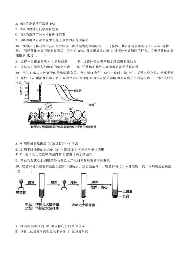 浙江省绍兴市2023-2024学年高二下学期6月期末调测考试生物试题+参考答案_2024-2025高三（6-6月题库）_2024年07月试卷_240701浙江省绍兴市2023-2024学年高二下学期6月期末调测考试