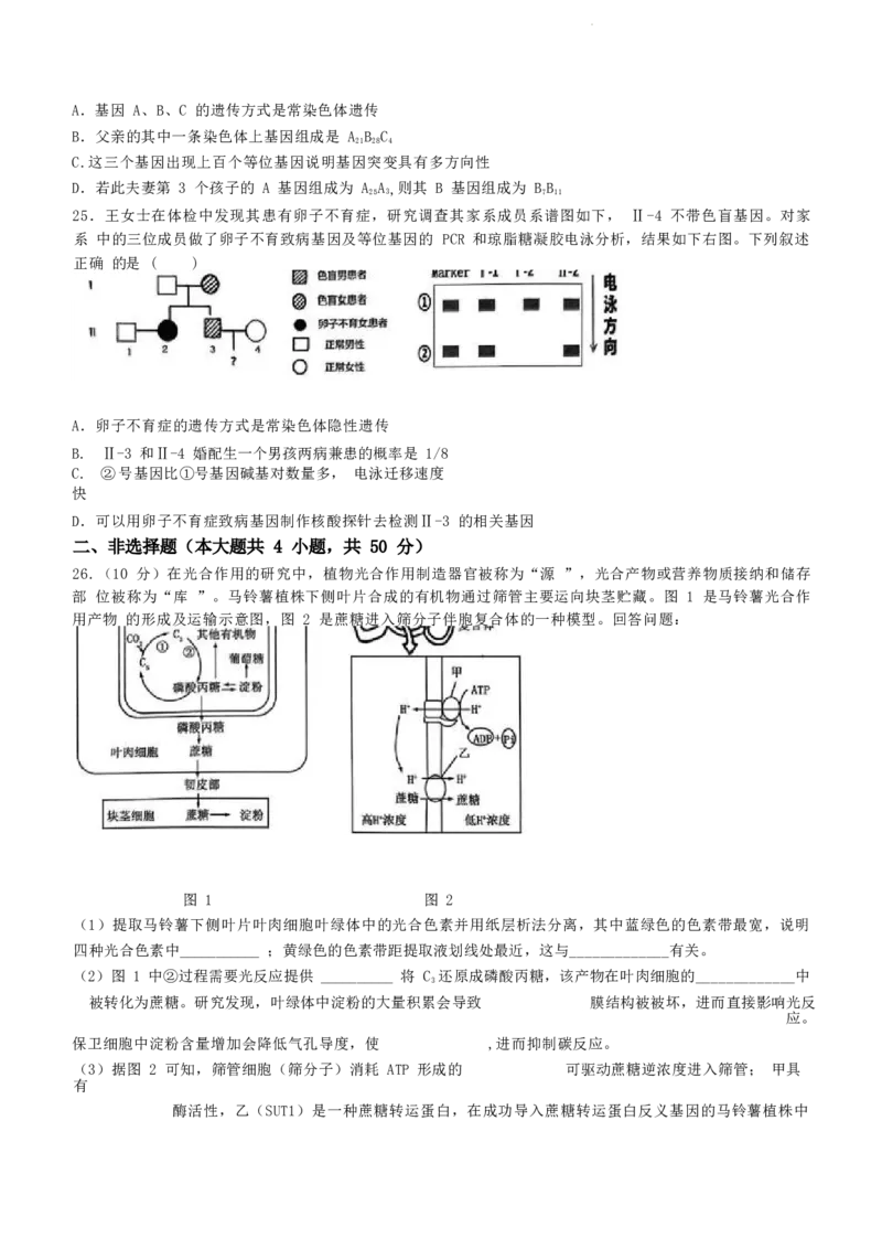 浙江省绍兴市2023-2024学年高二下学期6月期末调测考试生物试题+参考答案_2024-2025高三（6-6月题库）_2024年07月试卷_240701浙江省绍兴市2023-2024学年高二下学期6月期末调测考试