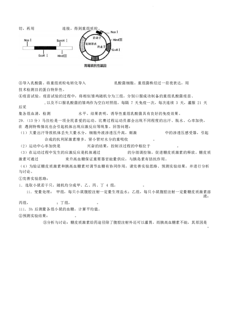 浙江省绍兴市2023-2024学年高二下学期6月期末调测考试生物试题+参考答案_2024-2025高三（6-6月题库）_2024年07月试卷_240701浙江省绍兴市2023-2024学年高二下学期6月期末调测考试
