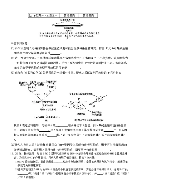湖南师大附中2026届高三月考试卷（五）生物_2024-2026高三（6-6月题库）_2026年01月高三试卷_0107炎德&middot;英才大联考湖南师大附中2026届高三月考试卷（五）（全）