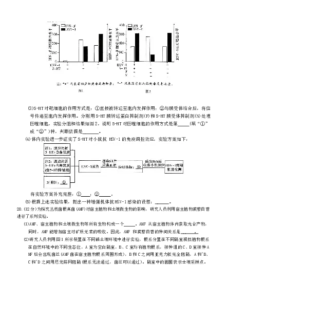 湖南师大附中2026届高三月考试卷（五）生物_2024-2026高三（6-6月题库）_2026年01月高三试卷_0107炎德&middot;英才大联考湖南师大附中2026届高三月考试卷（五）（全）