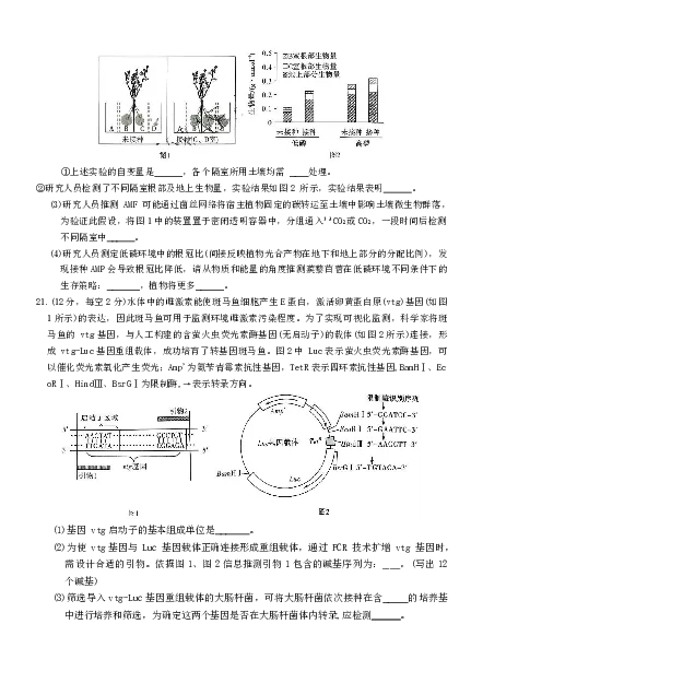 湖南师大附中2026届高三月考试卷（五）生物_2024-2026高三（6-6月题库）_2026年01月高三试卷_0107炎德&middot;英才大联考湖南师大附中2026届高三月考试卷（五）（全）