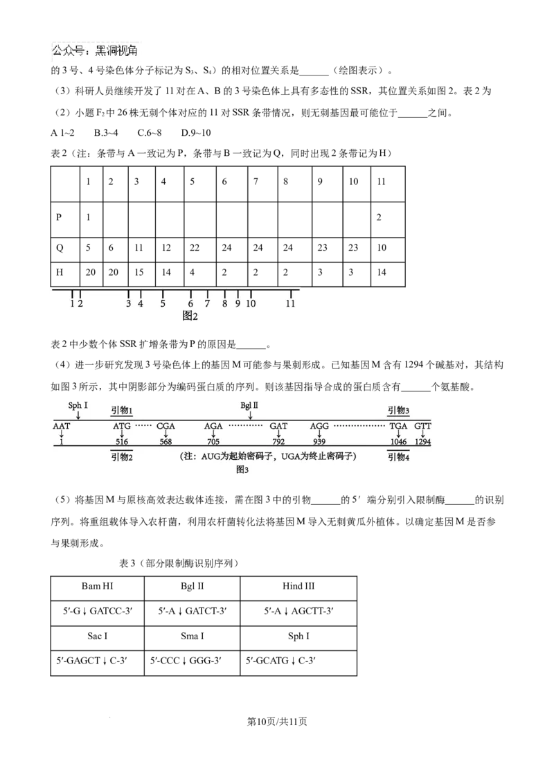 精品解析：湖北省武汉市东西湖区华中师范大学第一附属中学2024-2025学年高三上学期11月期中生物试题（原卷版）_2024-2025高三（6-6月题库）_2024年11月试卷