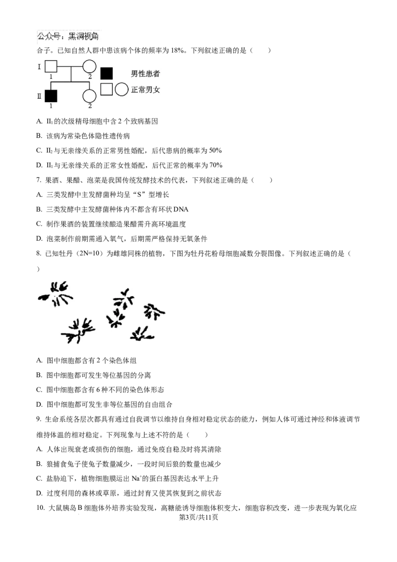 精品解析：湖北省武汉市东西湖区华中师范大学第一附属中学2024-2025学年高三上学期11月期中生物试题（原卷版）_2024-2025高三（6-6月题库）_2024年11月试卷