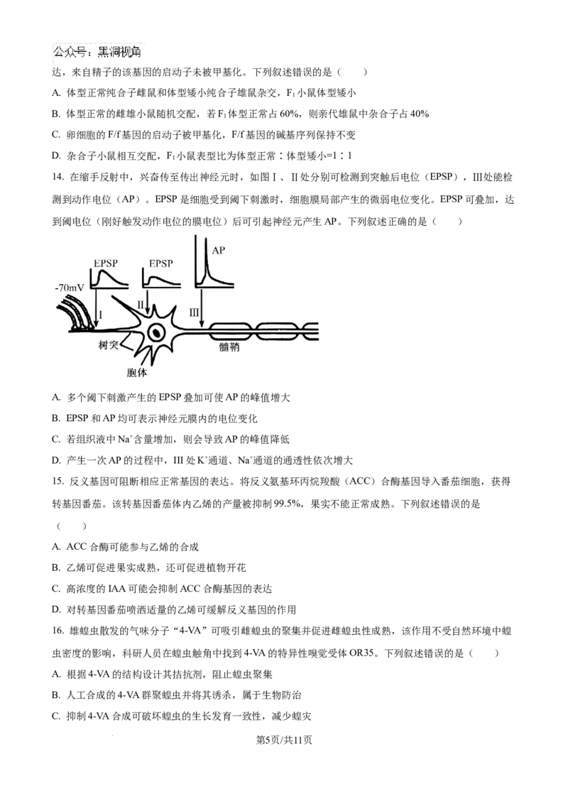 精品解析：湖北省武汉市东西湖区华中师范大学第一附属中学2024-2025学年高三上学期11月期中生物试题（原卷版）_2024-2025高三（6-6月题库）_2024年11月试卷
