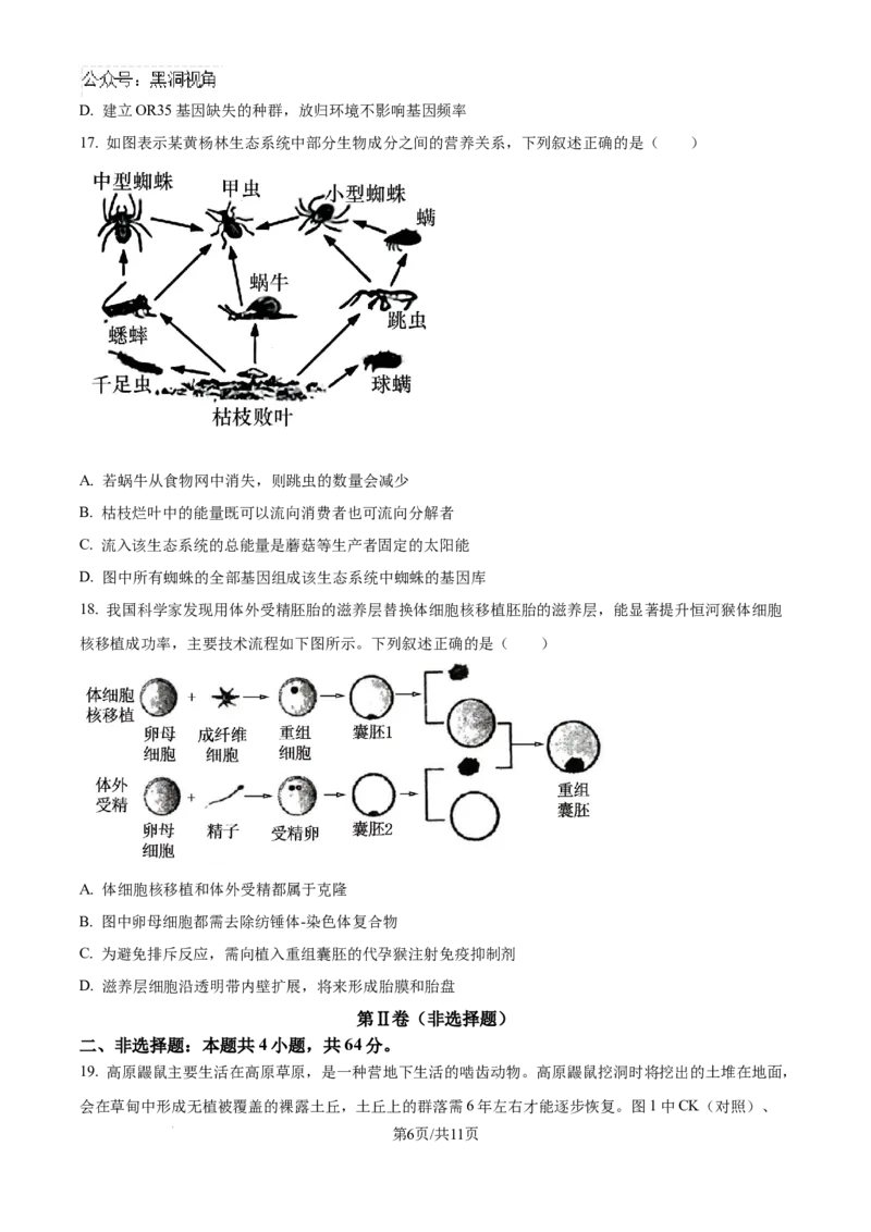 精品解析：湖北省武汉市东西湖区华中师范大学第一附属中学2024-2025学年高三上学期11月期中生物试题（原卷版）_2024-2025高三（6-6月题库）_2024年11月试卷