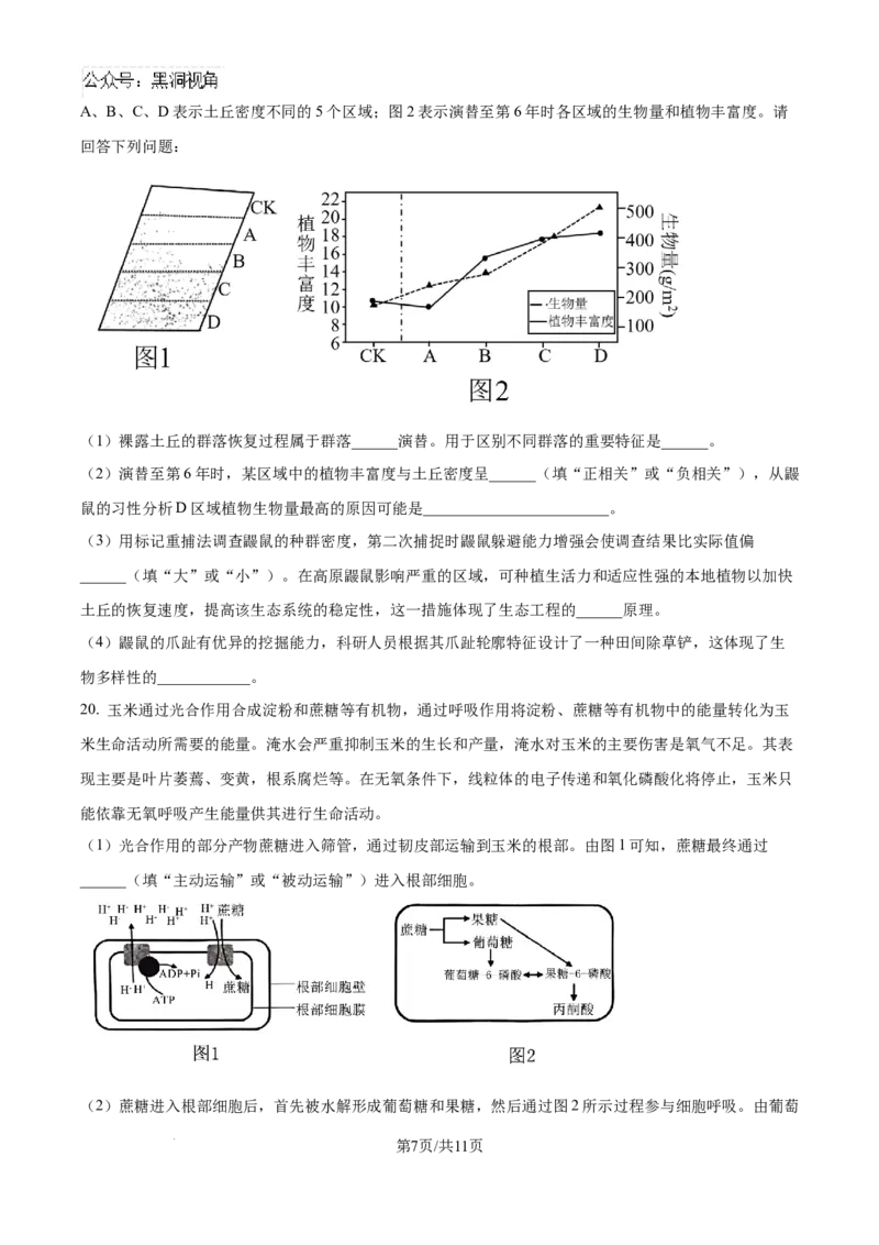 精品解析：湖北省武汉市东西湖区华中师范大学第一附属中学2024-2025学年高三上学期11月期中生物试题（原卷版）_2024-2025高三（6-6月题库）_2024年11月试卷