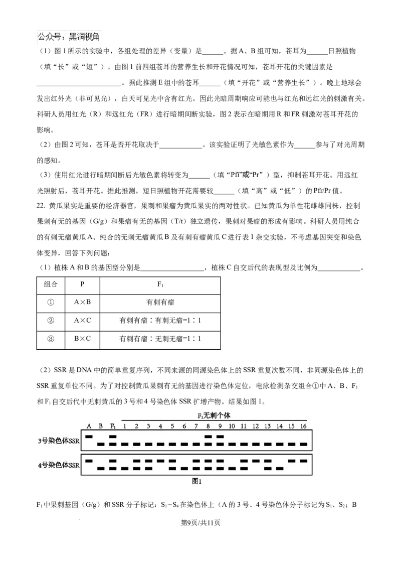 精品解析：湖北省武汉市东西湖区华中师范大学第一附属中学2024-2025学年高三上学期11月期中生物试题（原卷版）_2024-2025高三（6-6月题库）_2024年11月试卷