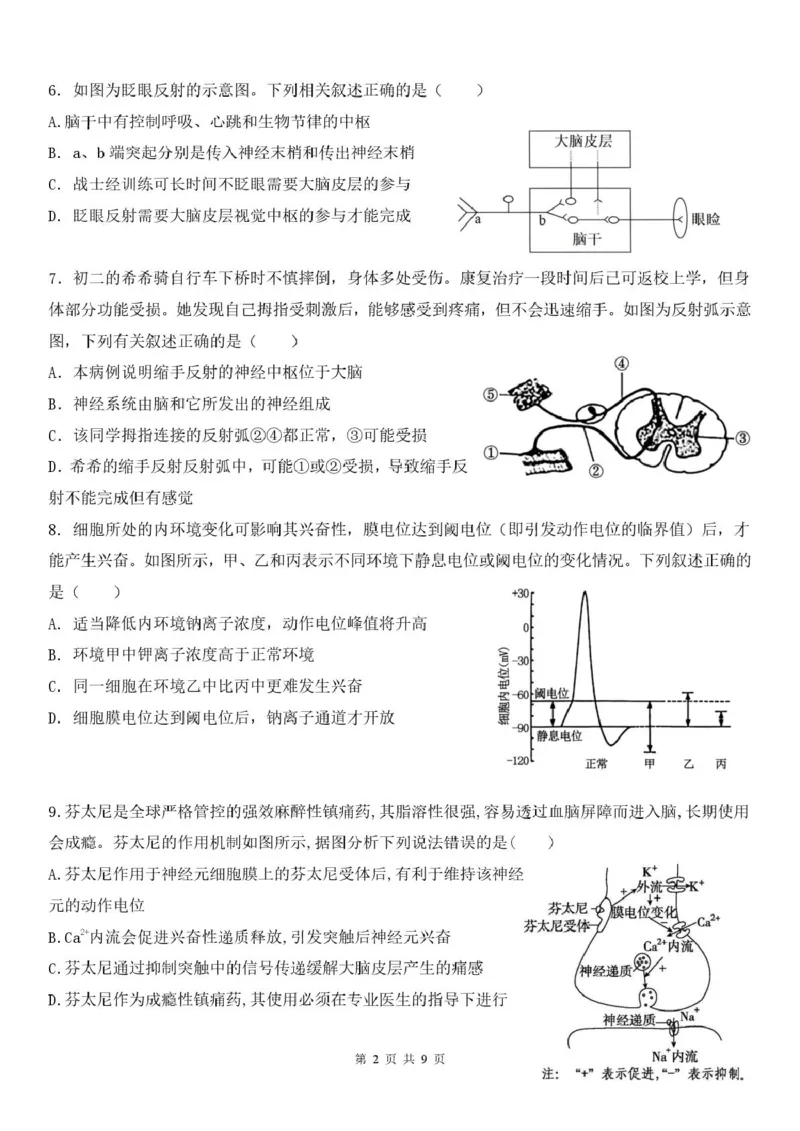 河南省郑州市第二高级中学2025-2026学年高二上学期十月月考生物试卷_2025年10月高二试卷_251022河南省郑州市第二高级中学2025-2026学年高二上学期10月月考