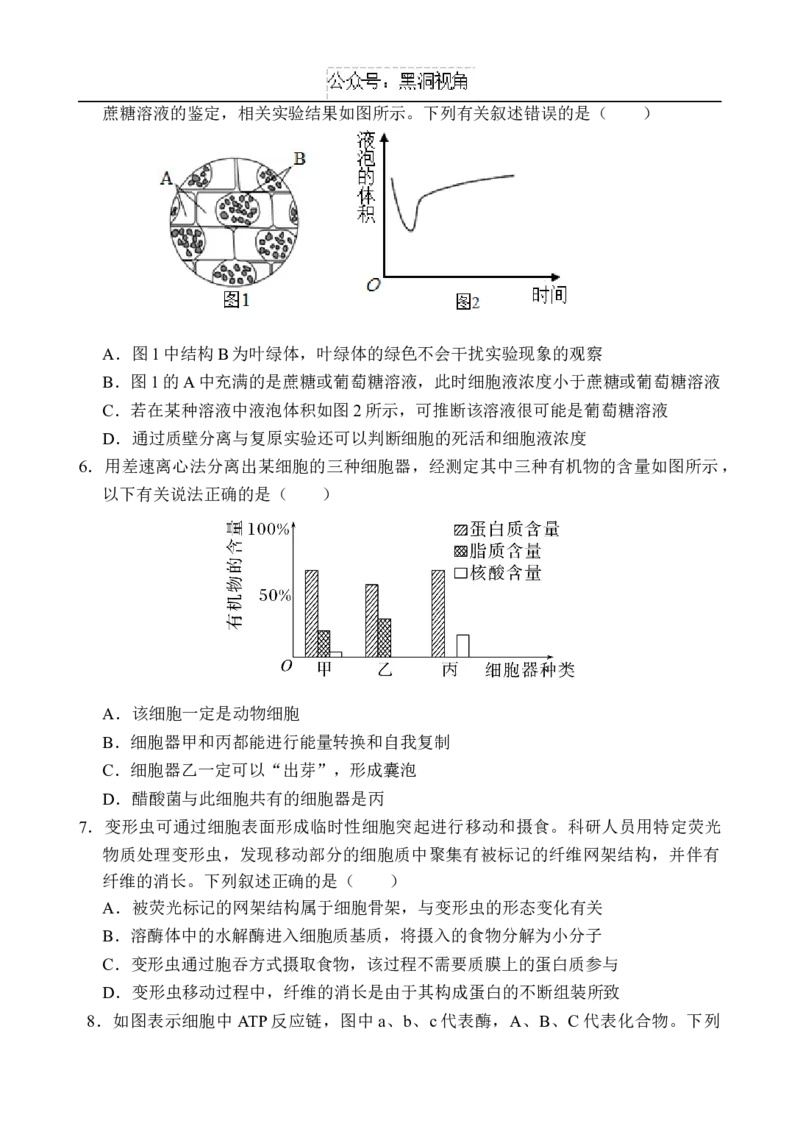 海南省文昌中学2024-2025学年高三上学期第二次月考试题生物Word版含解析_2024-2025高三（6-6月题库）_2024年10月试卷_1027海南省文昌中学2024-2025学年高三上学期第二次月考