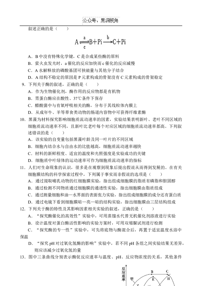 海南省文昌中学2024-2025学年高三上学期第二次月考试题生物Word版含解析_2024-2025高三（6-6月题库）_2024年10月试卷_1027海南省文昌中学2024-2025学年高三上学期第二次月考