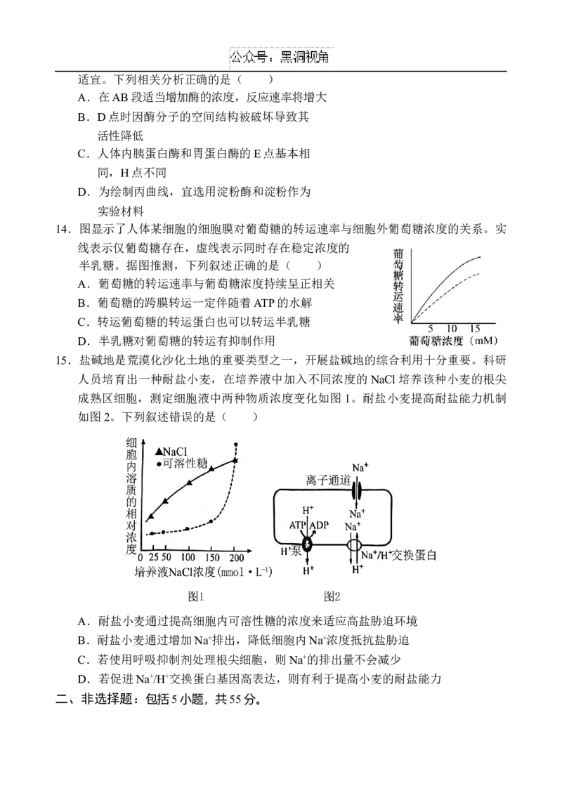海南省文昌中学2024-2025学年高三上学期第二次月考试题生物Word版含解析_2024-2025高三（6-6月题库）_2024年10月试卷_1027海南省文昌中学2024-2025学年高三上学期第二次月考
