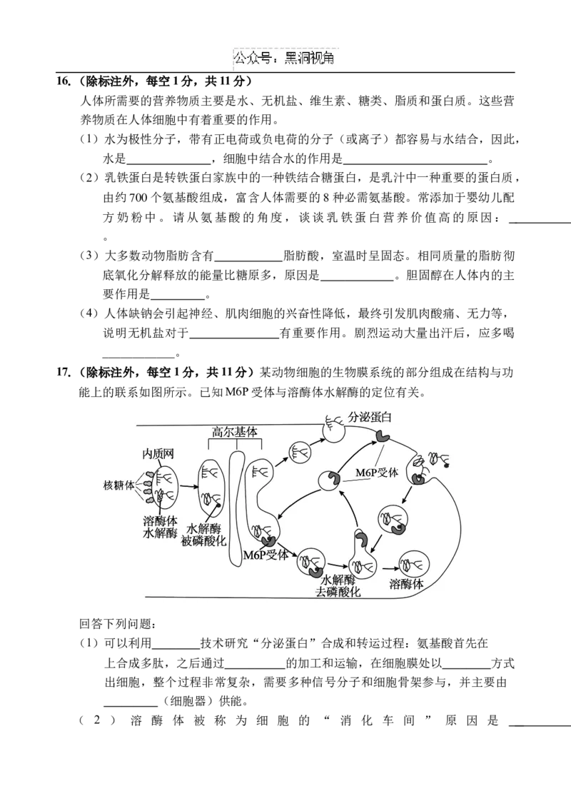 海南省文昌中学2024-2025学年高三上学期第二次月考试题生物Word版含解析_2024-2025高三（6-6月题库）_2024年10月试卷_1027海南省文昌中学2024-2025学年高三上学期第二次月考